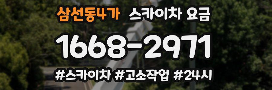삼선동4가 스카이차 요금