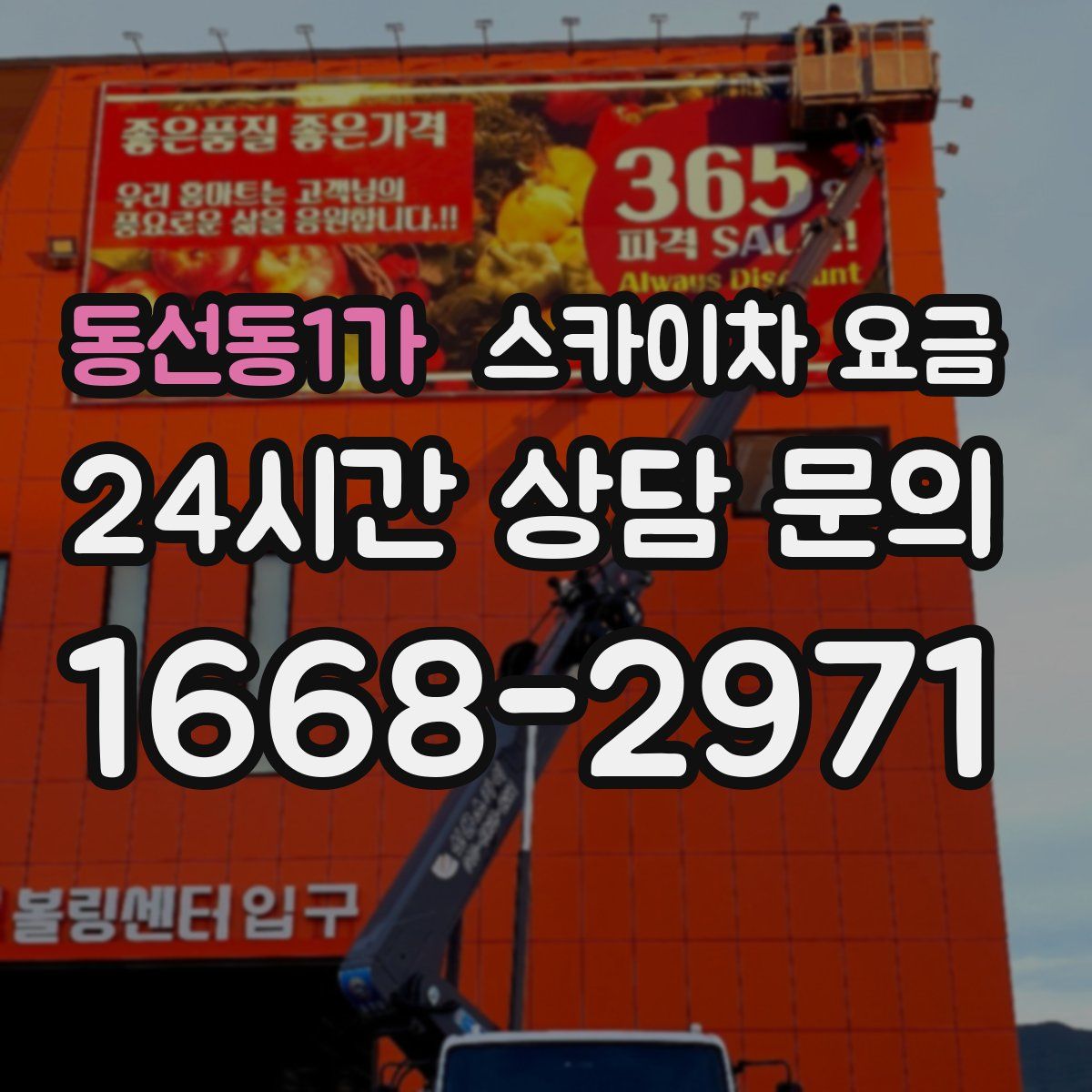 동선동1가 스카이차 요금