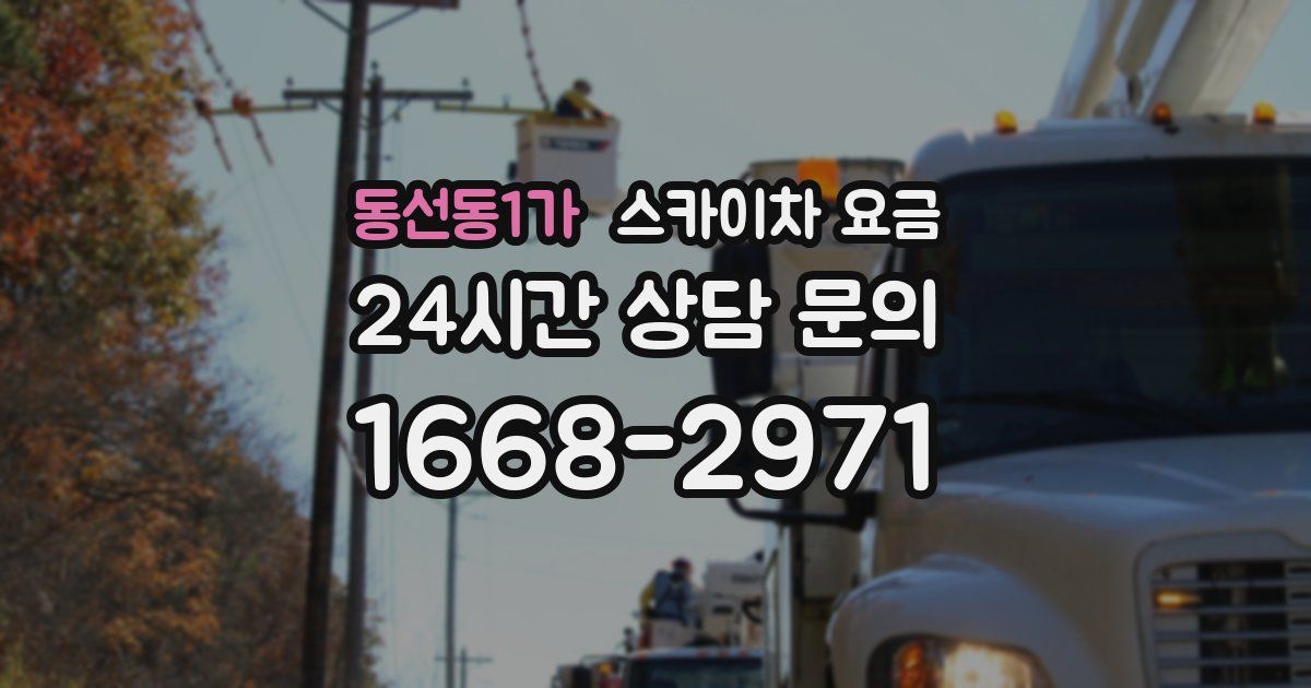 동선동1가 스카이차 요금