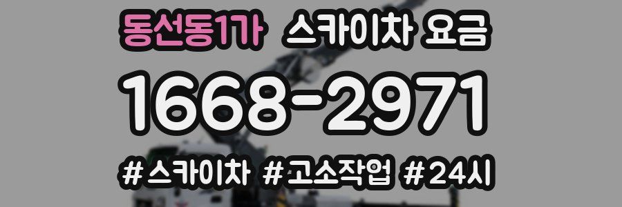 동선동1가 스카이차 요금