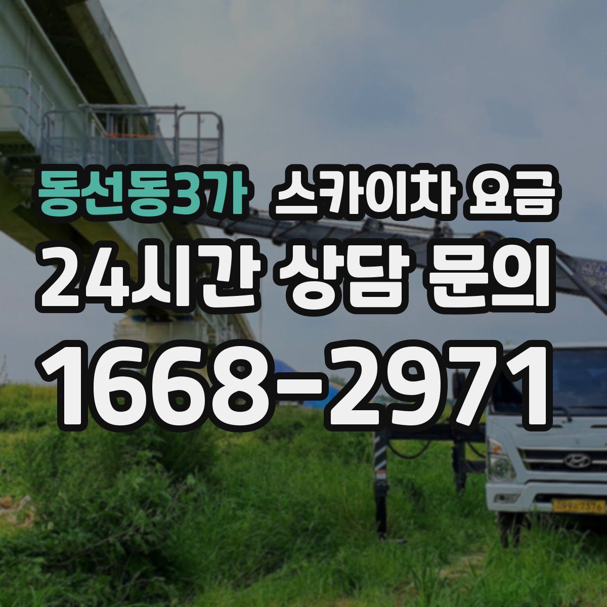 동선동3가 스카이차 요금