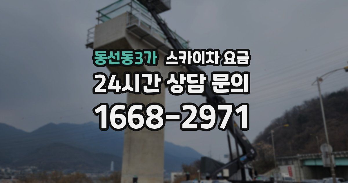 동선동3가 스카이차 요금