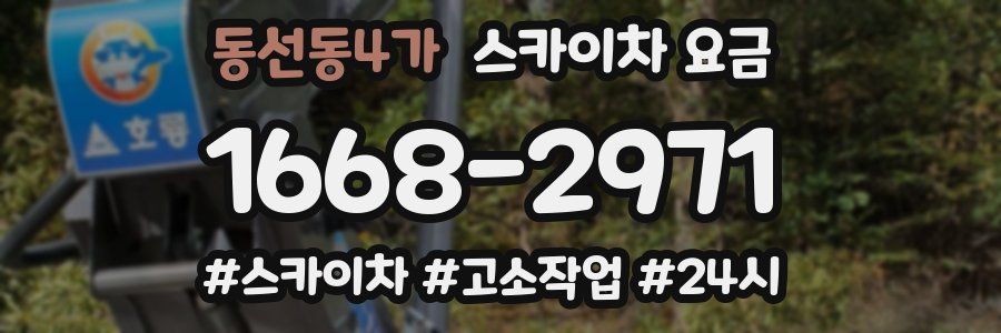 동선동4가 스카이차 요금