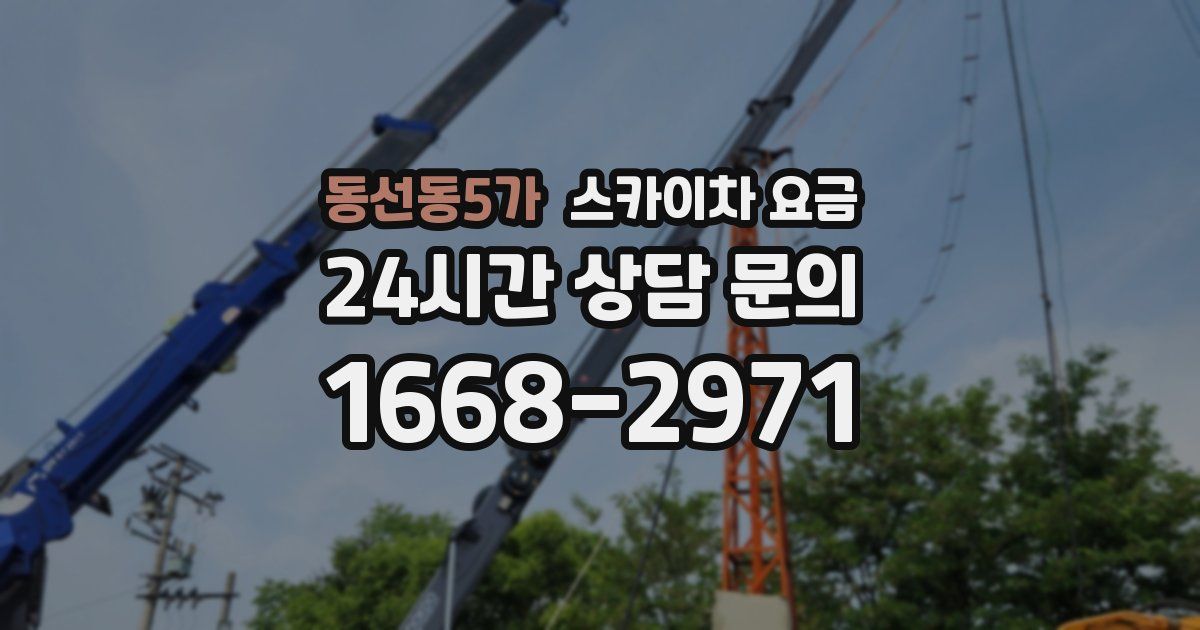 동선동5가 스카이차 요금
