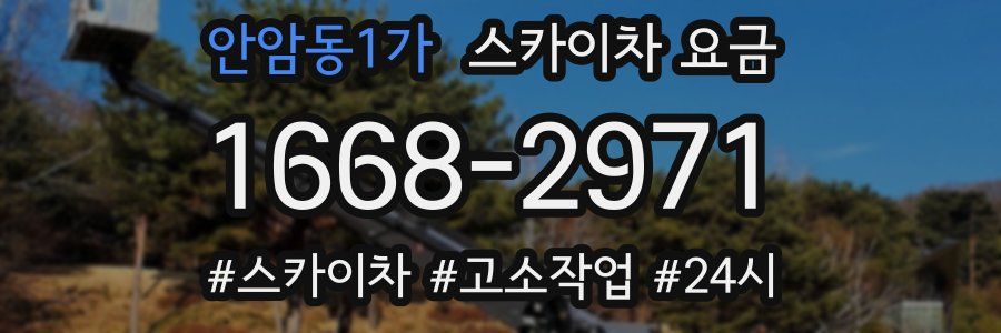 안암동1가 스카이차 요금