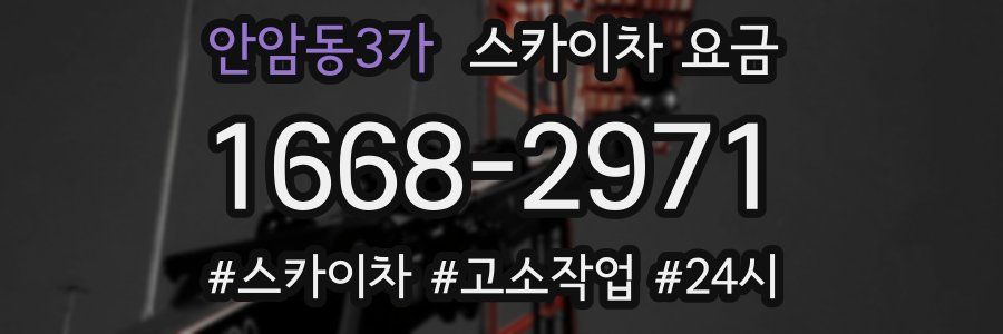 안암동3가 스카이차 요금