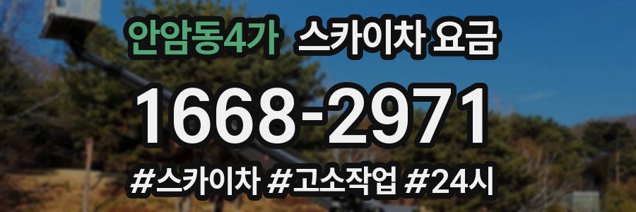 안암동4가 스카이차 요금