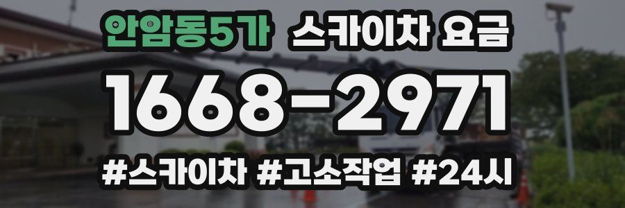 안암동5가 스카이차 요금