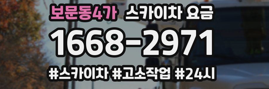보문동4가 스카이차 요금