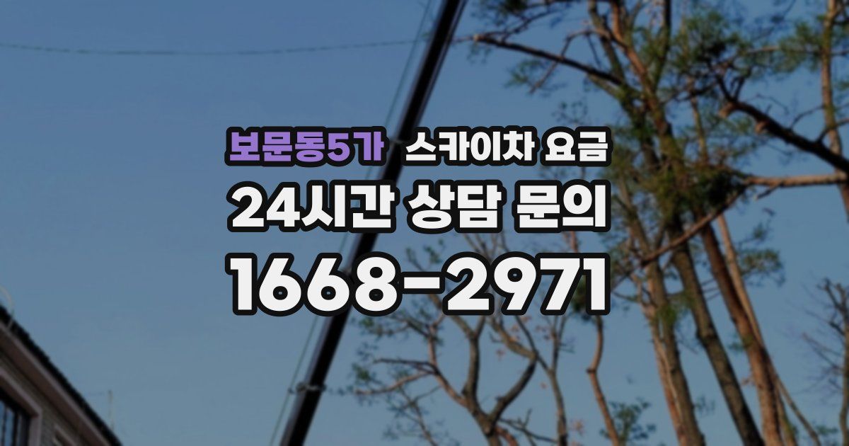 보문동5가 스카이차 요금