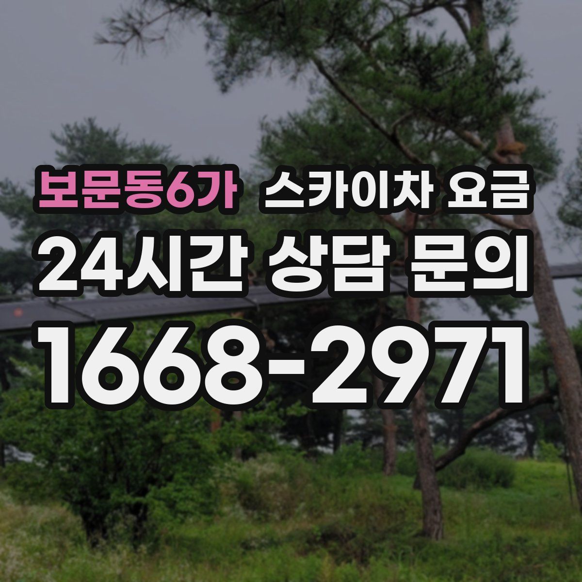 보문동6가 스카이차 요금