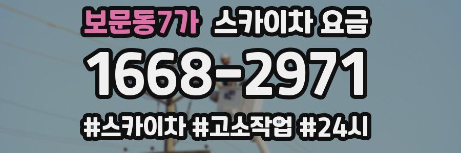 보문동7가 스카이차 요금
