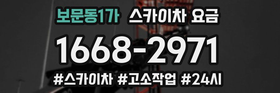 보문동1가 스카이차 요금