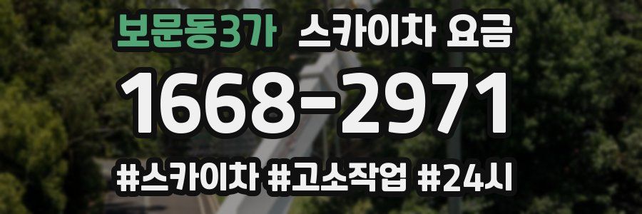 보문동3가 스카이차 요금