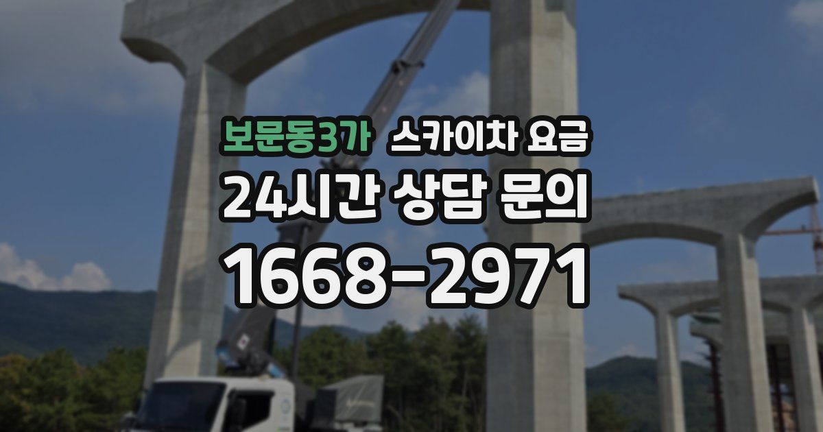 보문동3가 스카이차 요금