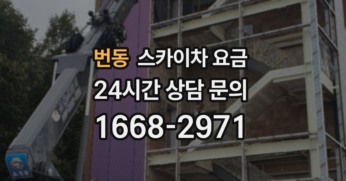 번동 스카이차 요금