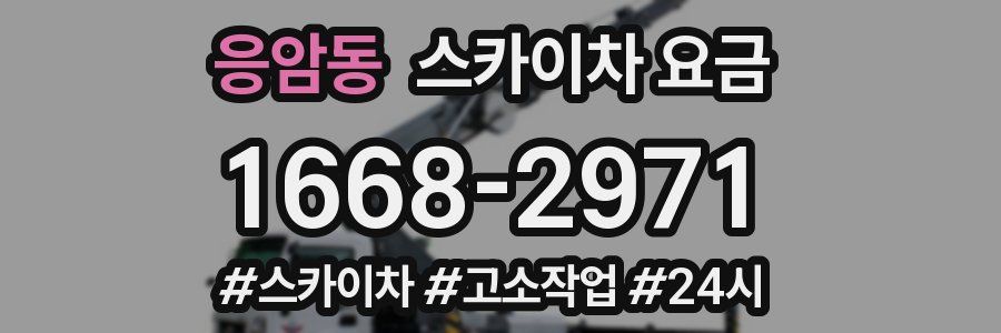 응암동 스카이차 요금