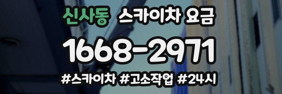 신사동 스카이차 요금