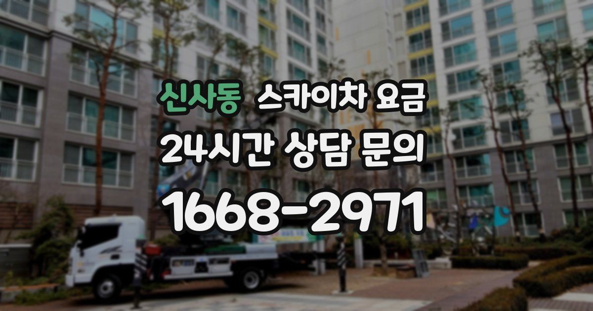 신사동 스카이차 요금