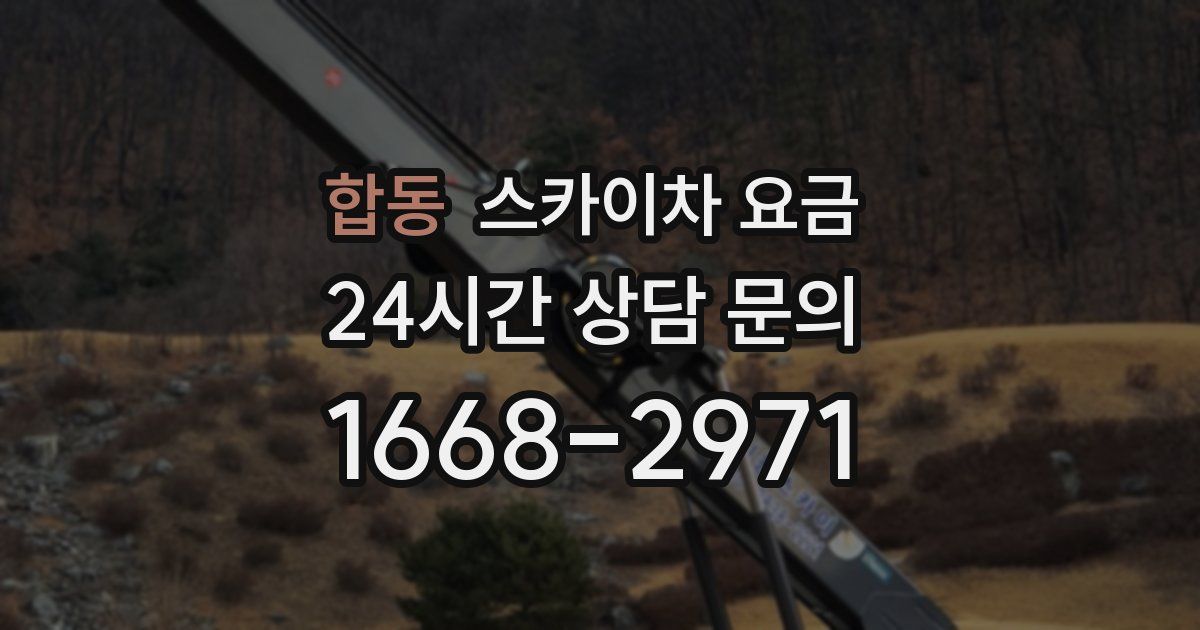 합동 스카이차 요금