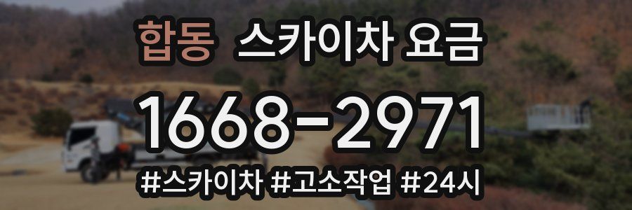합동 스카이차 요금