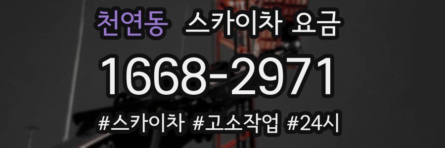천연동 스카이차 요금
