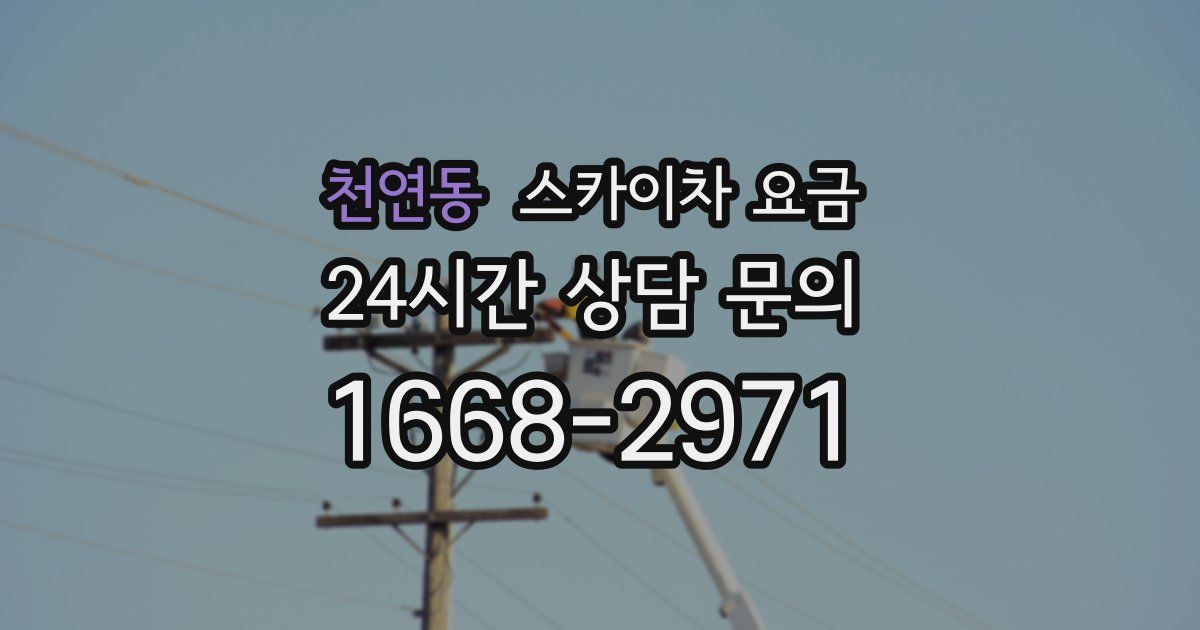 천연동 스카이차 요금