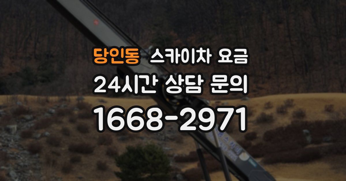 당인동 스카이차 요금