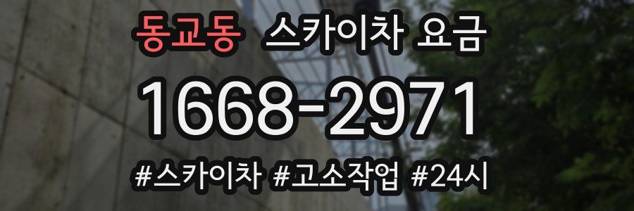 동교동 스카이차 요금