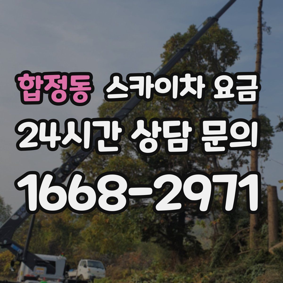 합정동 스카이차 요금