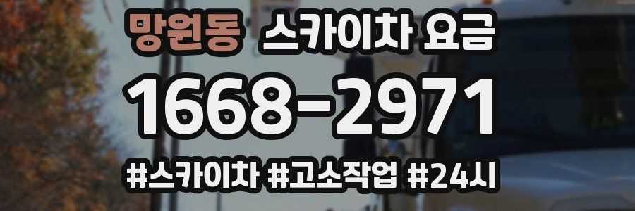 망원동 스카이차 요금