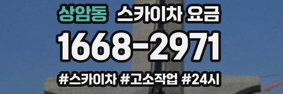 상암동 스카이차 요금