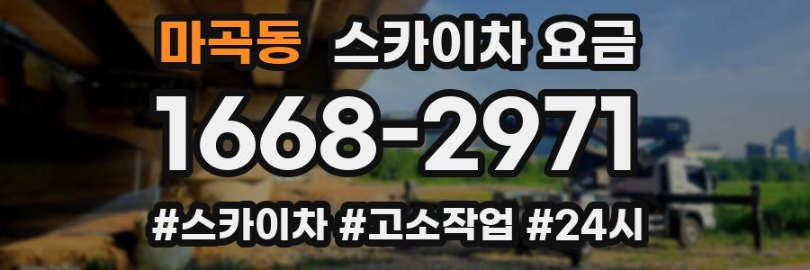 마곡동 스카이차 요금