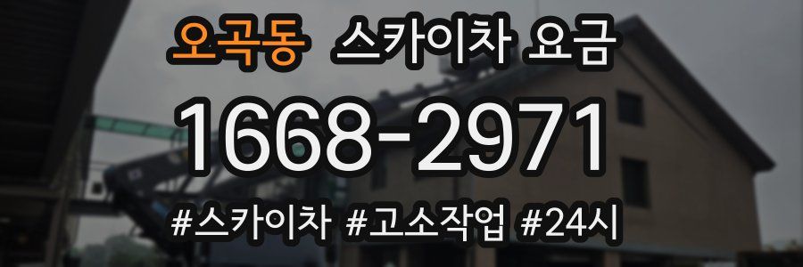 오곡동 스카이차 요금