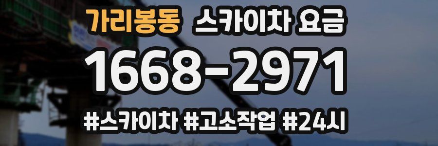 가리봉동 스카이차 요금