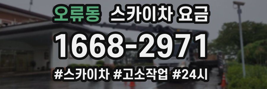 오류동 스카이차 요금