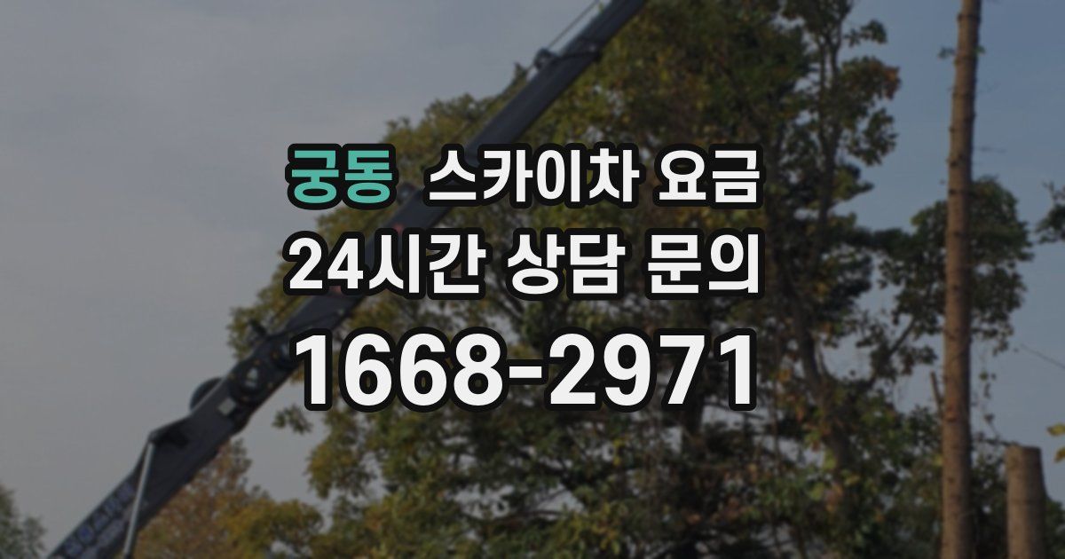 궁동 스카이차 요금