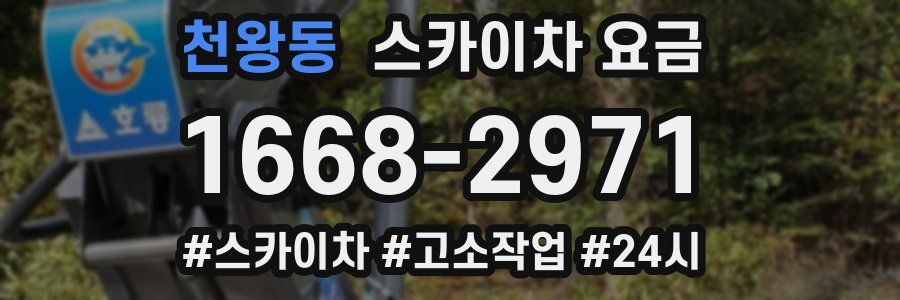 천왕동 스카이차 요금