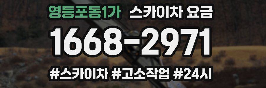 영등포동1가 스카이차 요금