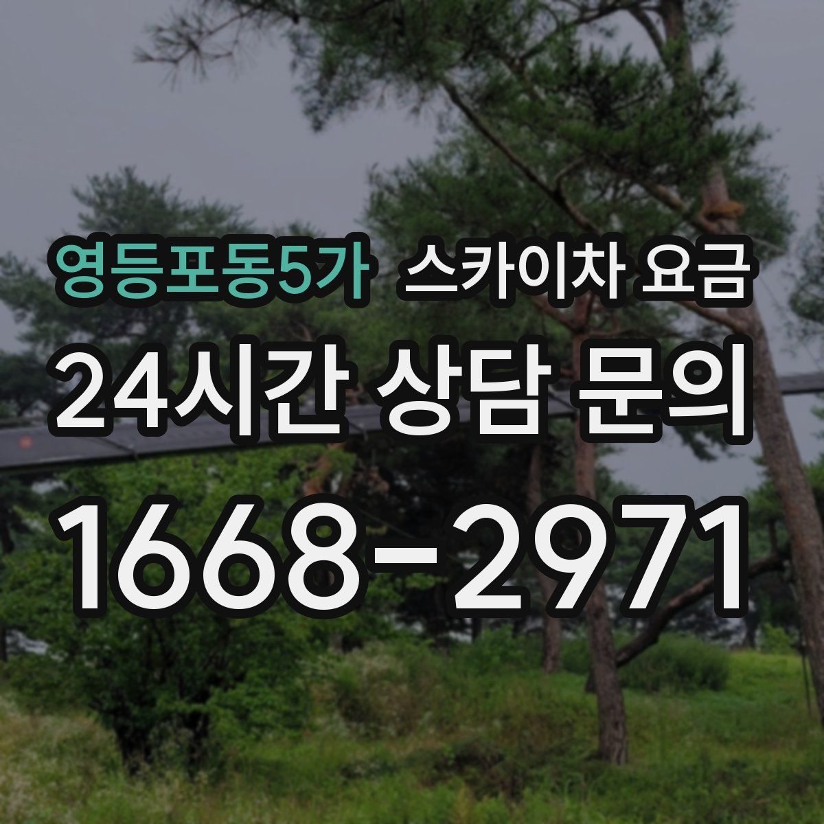 영등포동5가 스카이차 요금