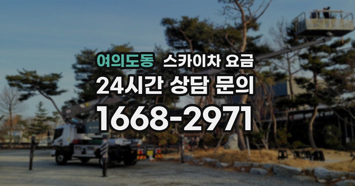 여의도동 스카이차 요금