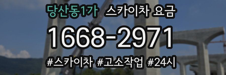 당산동1가 스카이차 요금
