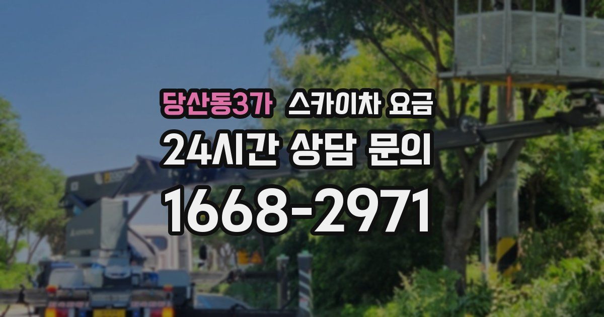 당산동3가 스카이차 요금