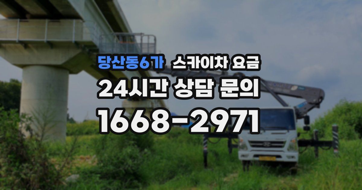 당산동6가 스카이차 요금