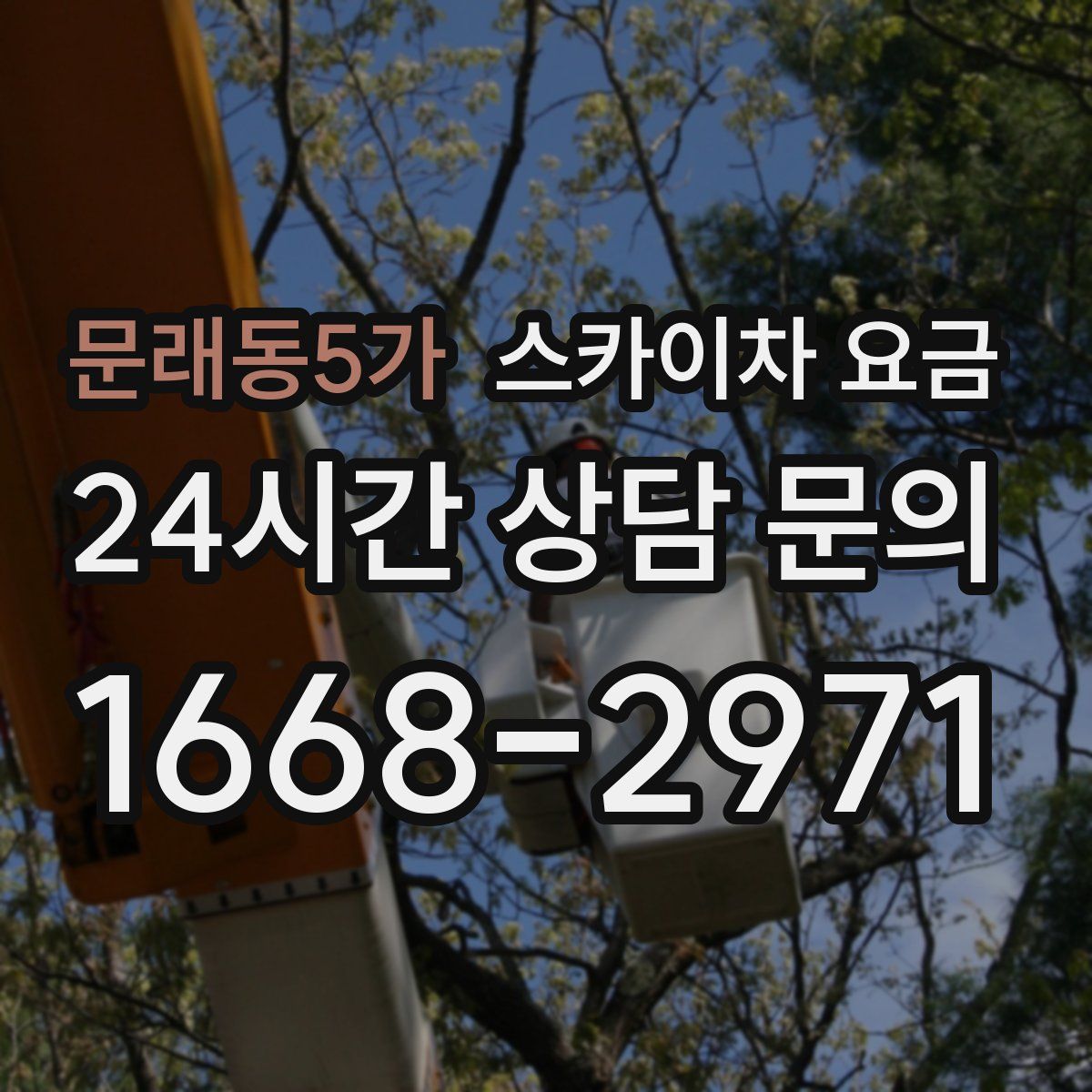 문래동5가 스카이차 요금