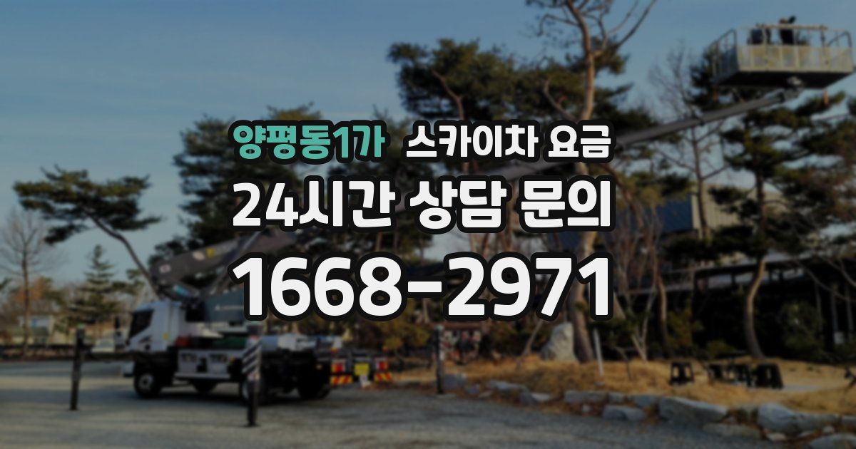 양평동1가 스카이차 요금