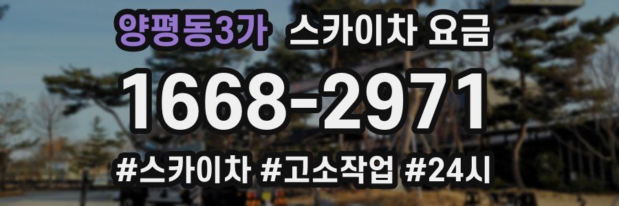 양평동3가 스카이차 요금