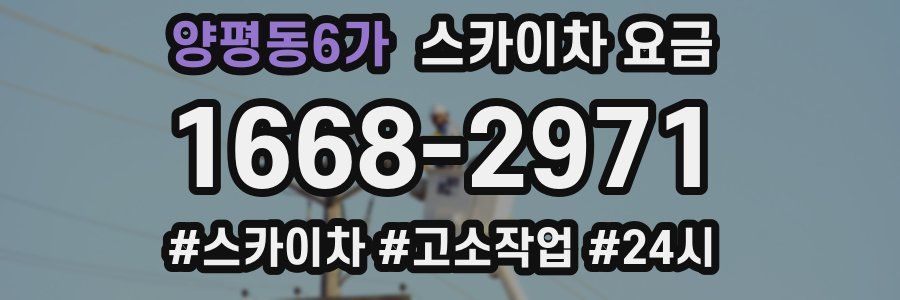 양평동6가 스카이차 요금