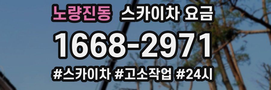 노량진동 스카이차 요금