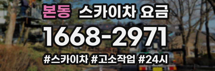 본동 스카이차 요금